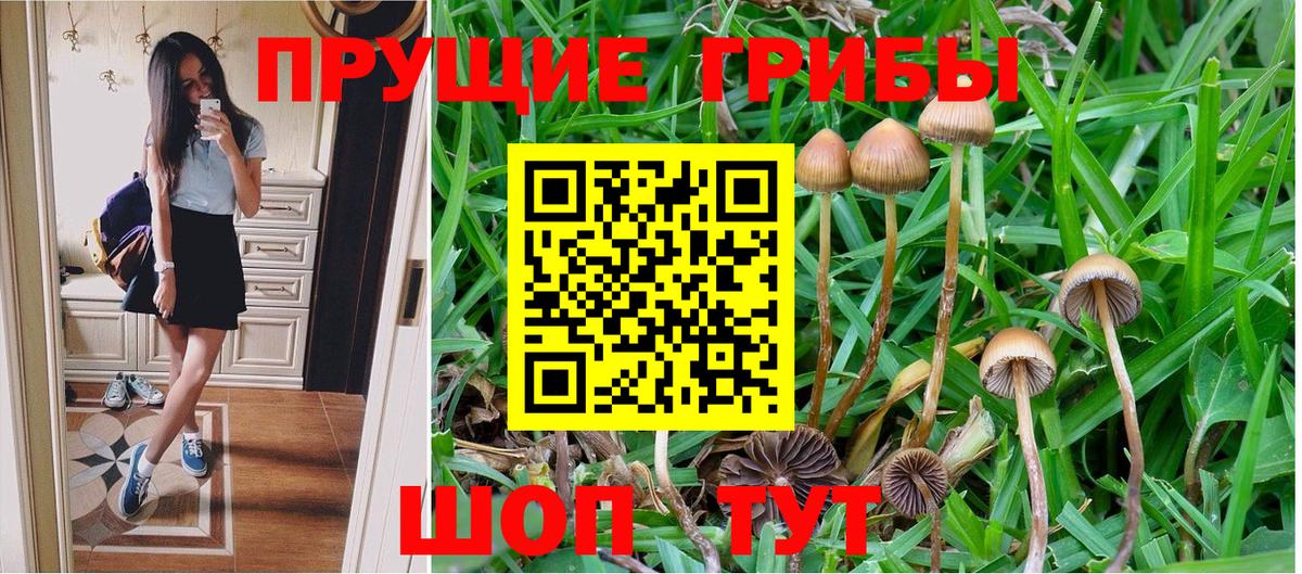 Галлюциногенные грибы GOLDEN TEACHER  Вход с VPN  закладки  Абинск 